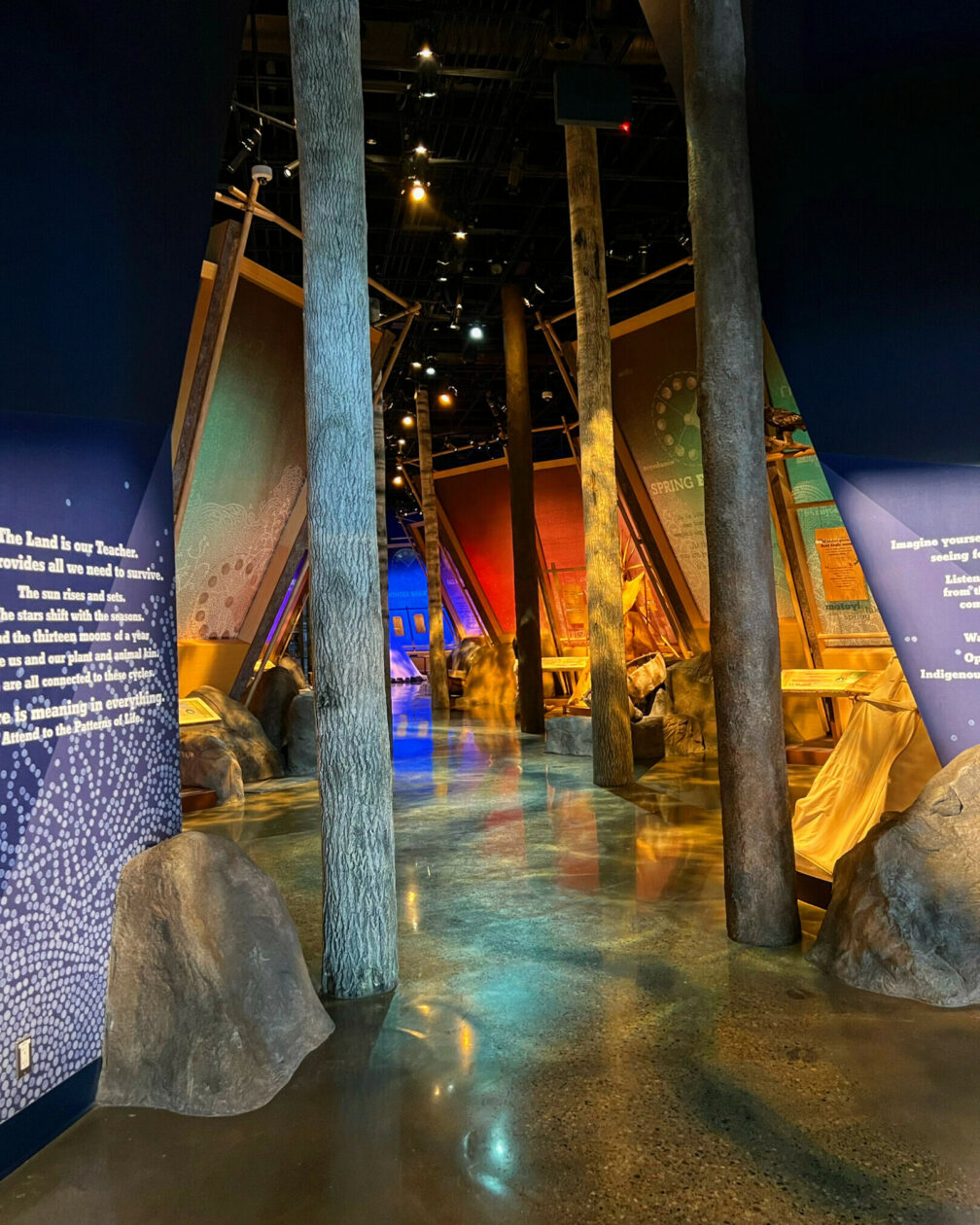 Dwain Jones's Indigenous People’s Experience