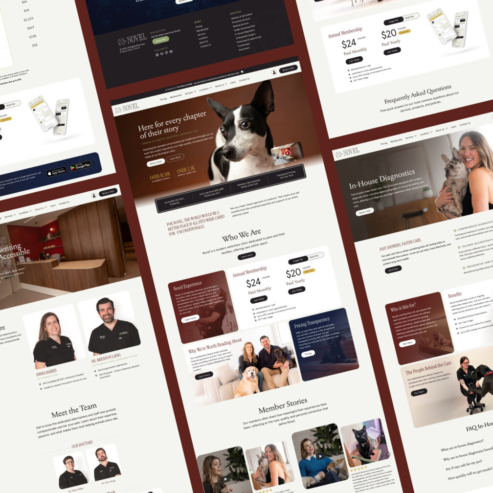 Tim Lum's Novel – Framer Website Redesign