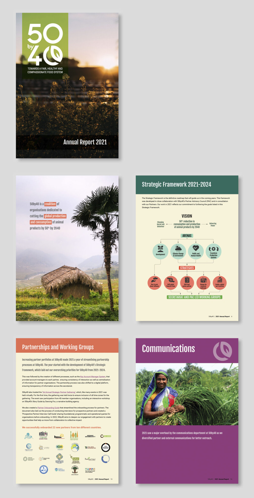 David Johnson's Boost’s 2020 Annual Report Design