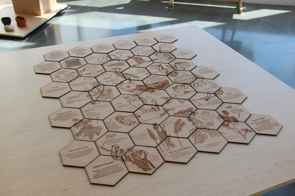 Fatemeh Pourseyed's Map the System Competition Submission Exploring the Decline of Reading