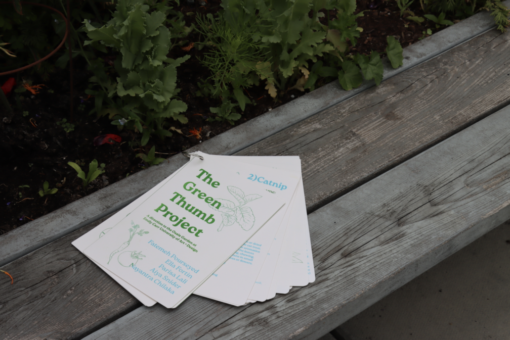 Fatemeh Pourseyed's Map the System Competition Submission Exploring the Decline of Reading