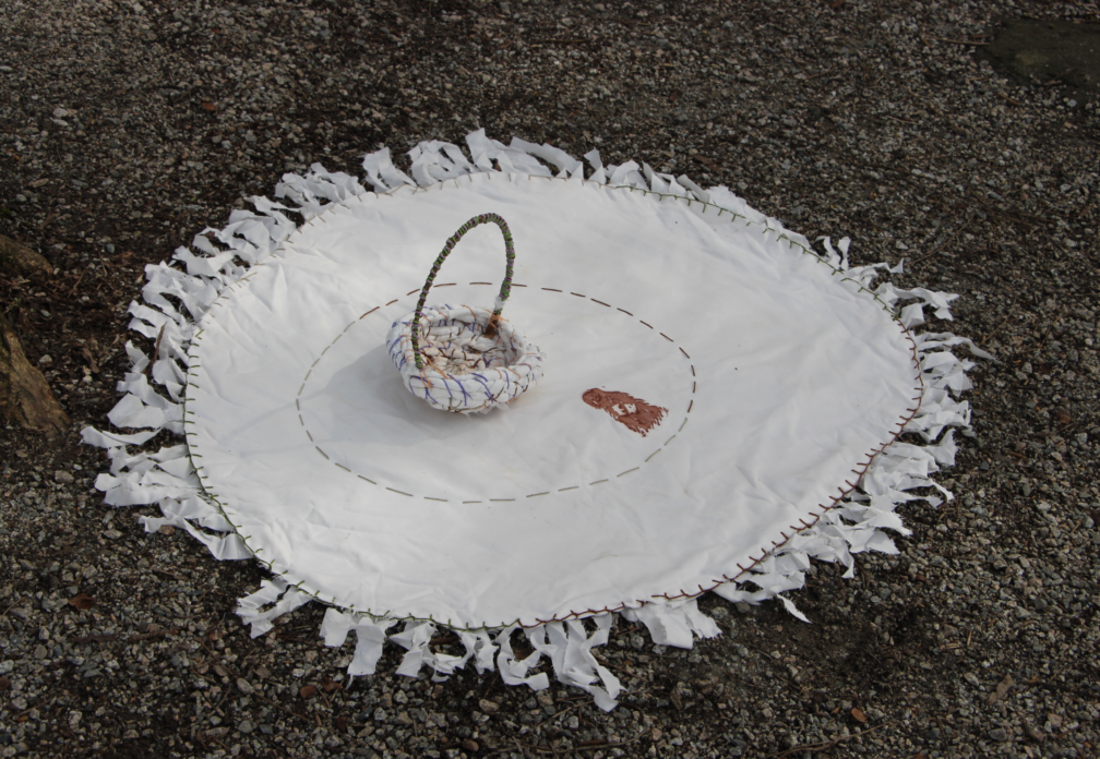 Fatemeh Pourseyed's Map the System Competition Submission Exploring the Decline of Reading