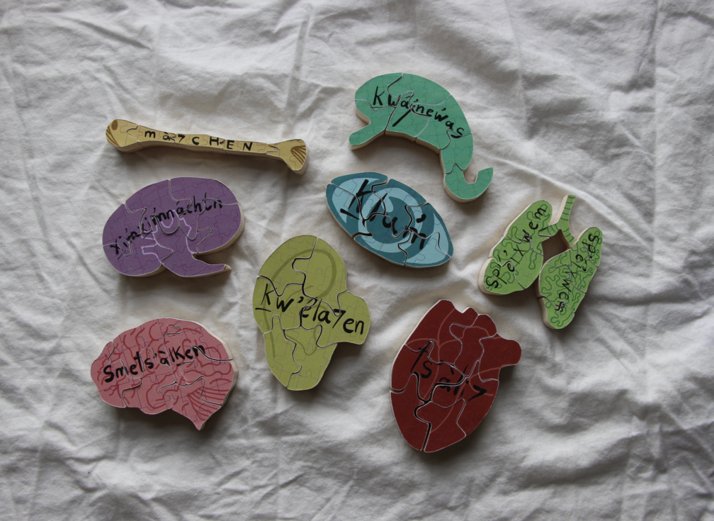 Fatemeh Pourseyed's Map the System Competition Submission Exploring the Decline of Reading