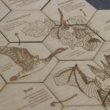 Fatemeh Pourseyed's Map the System Competition Submission Exploring the Decline of Reading