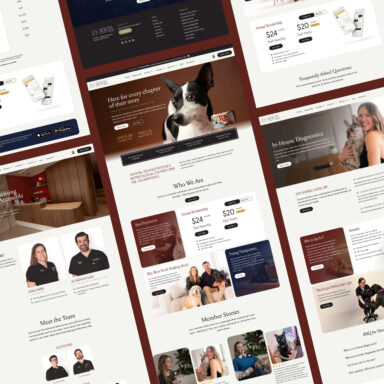 Tim Lum's Novel – Framer Website Redesign