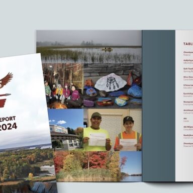 Amy LeClair's Displays