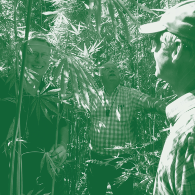 Kathleen O'Donnell's DesignThinkers Podcast Live Show with Dalit Shalom