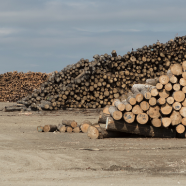 Kathleen O'Donnell's DesignThinkers Podcast Live Show with Dalit Shalom