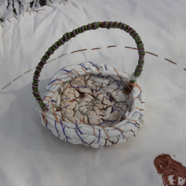 Fatemeh Pourseyed's Map the System Competition Submission Exploring the Decline of Reading